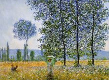 Haga click para ver la imagen ampliada sunlight effect poplars.jpg